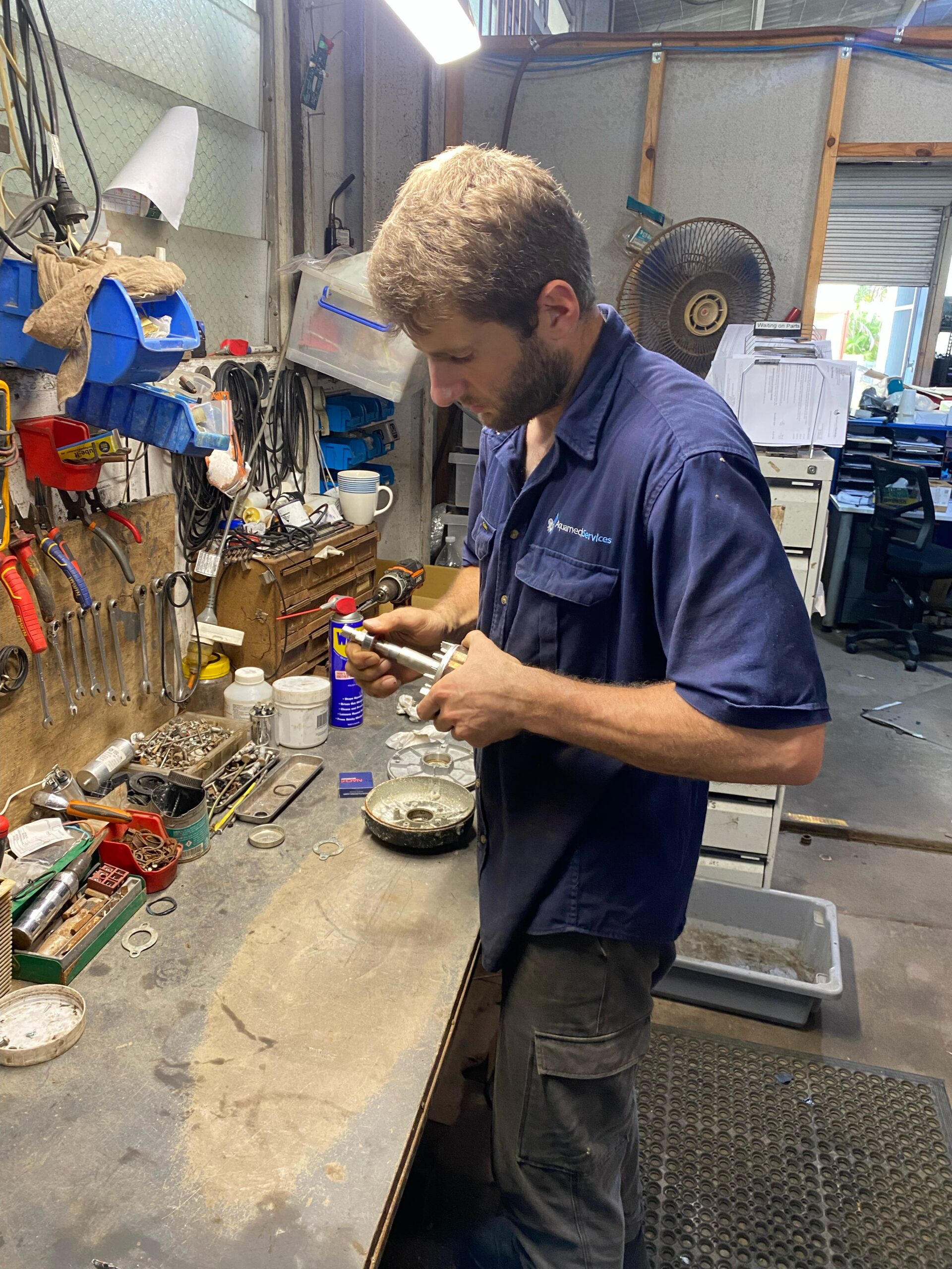 Davey Silensor SLS200 Pool Pump – Reconditioned - 1 year warranty - Image 2